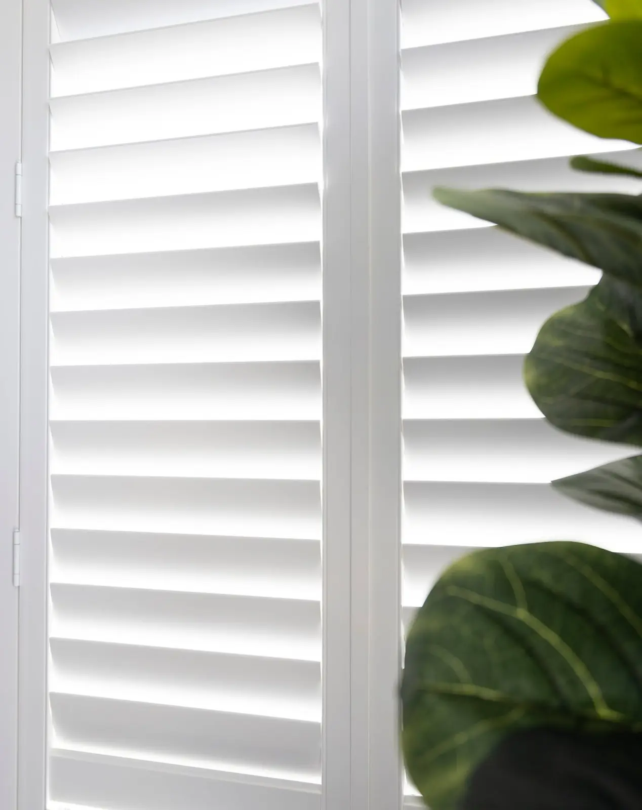 White plantation shutters fitted in a completed Zara project
